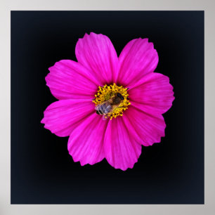 Póster abelha trabalhadora