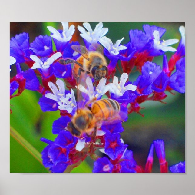 Poster Abelhas, Amor e Felicidade (Frente)