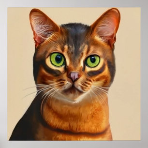 Poster Abissínia - Retrato de Gato