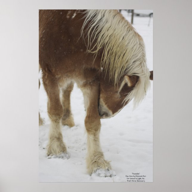 Poster Abóbora na neve (Frente)