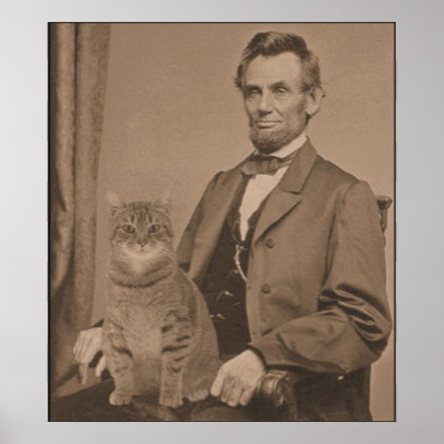 Póster Abraham Lincoln e seu gato "Gloria" (Frente)