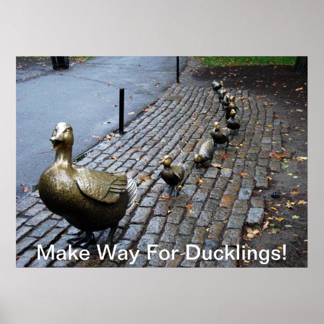 Póster Abram caminho para os Ducklings! (Frente)
