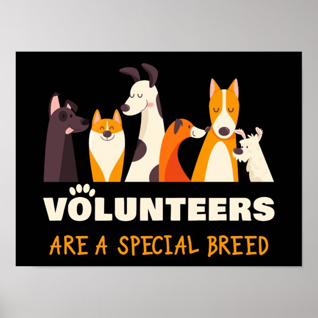 Poster Abrigo de Resgate de Cães Raça Especial de Voluntá (Frente)