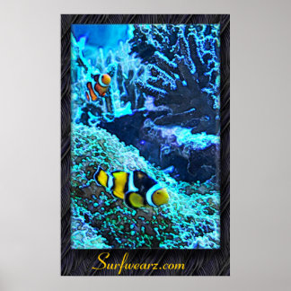 Poster Abrindo Por Volta De 2