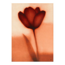 Abstração Floral Japonesa Tulipa Vermelha