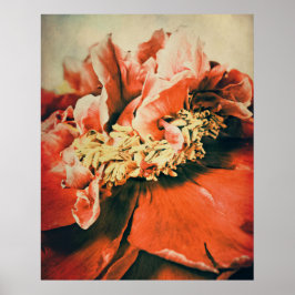 Poster Abstrakte Pfingstrose