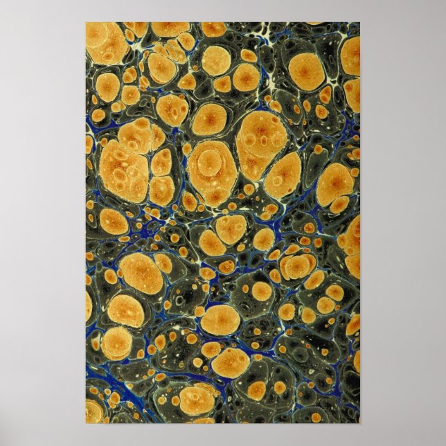 Poster Abstrato (Frente)