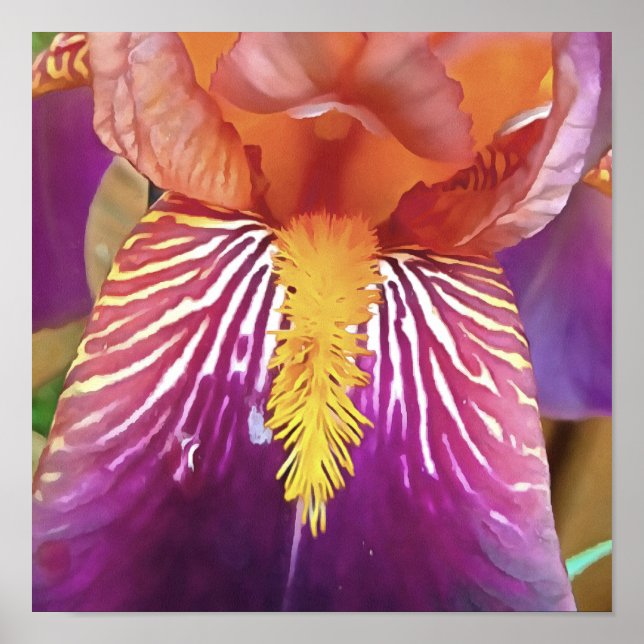 Poster Abstrato Artístico Light Iris Macro (Frente)