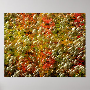 Póster Abstrato Cores E Bolhas