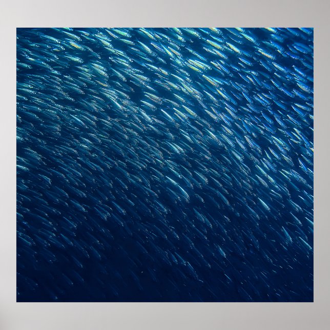 Poster Abstrato da Escola de Peixes do Mar Subaquático (Frente)