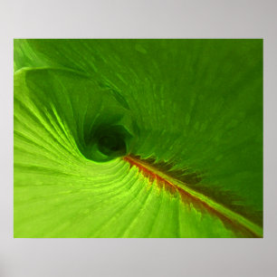 Poster abstrato da espiral da folha do gengibre