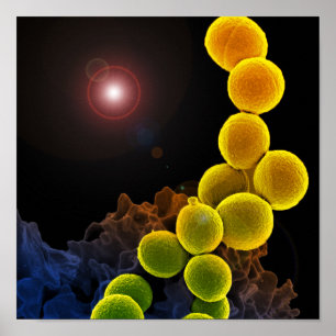 Poster abstrato da microbiologia da biologia para o