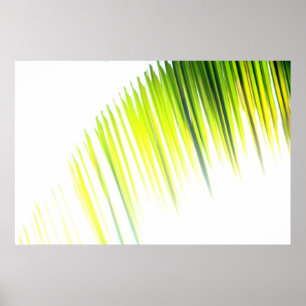 Póster Abstrato da palma (poster)