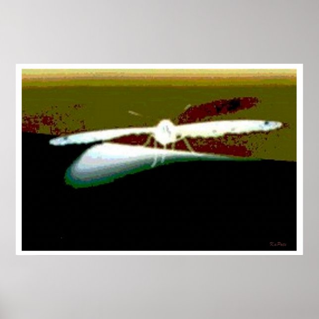 Póster Abstrato das Asas da Borboleta (Frente)