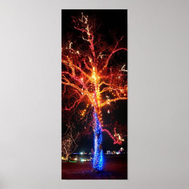 Poster Abstrato das luzes da árvore de Natal (Frente)