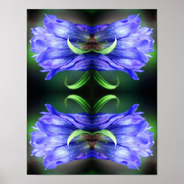 Poster Abstrato de Arte da Flor Gentiana Azul (Frente)