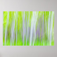 Abstrato de Árvores Aspen | Yakima River Trail, WA