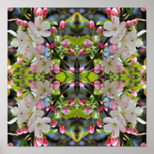 Poster Abstrato de Blossomas de Maçã de Primavera precoce