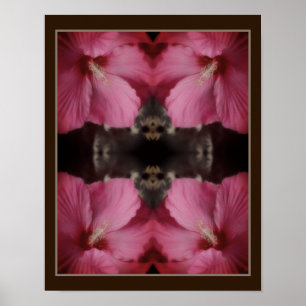 Poster Abstrato de cor parcial do ventilador do Hibiscus
