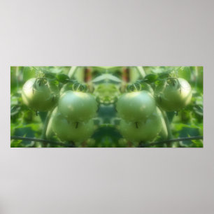 Poster Abstrato de Espelhamento de Tomates Verdes do Jard
