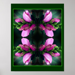Poster Abstrato de Espelhamento Fecho do Turtlehead Rosa