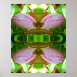 Poster Abstrato de Fecho do Flor da Senhora Rosa Slipper 