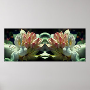 Poster Abstrato De Flor Azalea Branca E Espelho De Bud