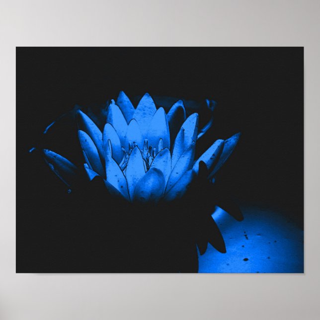 Poster Abstrato de Flor Lily Lotus Azul-Água (Frente)