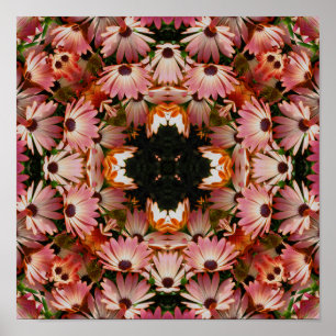 Poster Abstrato de Flores de Margarida Africanas Rosa
