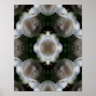 Poster Abstrato de Flores de Rosa Branca