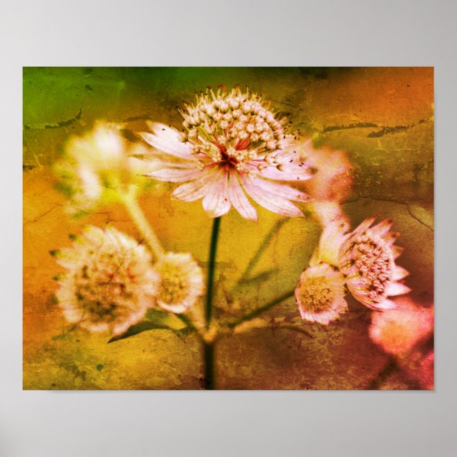 Poster Abstrato de Flores Delicadas (Frente)