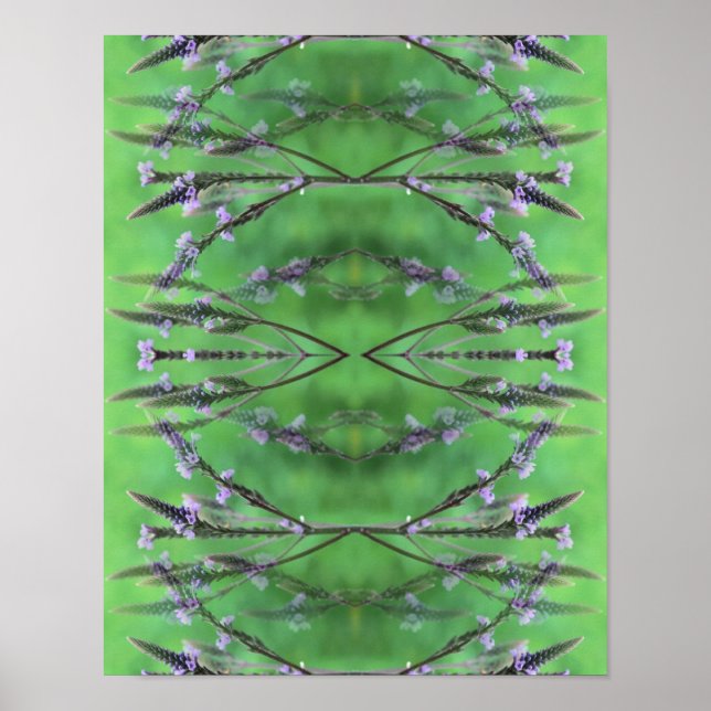Poster Abstrato de Flores Selvagens Vervain (Frente)