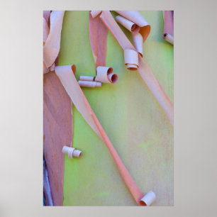 Poster Abstrato de Latido de Árvore Madrone