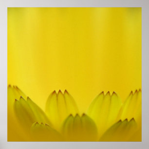 Poster Abstrato de Macro das Pétalas do Flor Mariglod Am