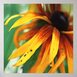Poster Abstrato de Macro Flor Amarelo Rudbeckia