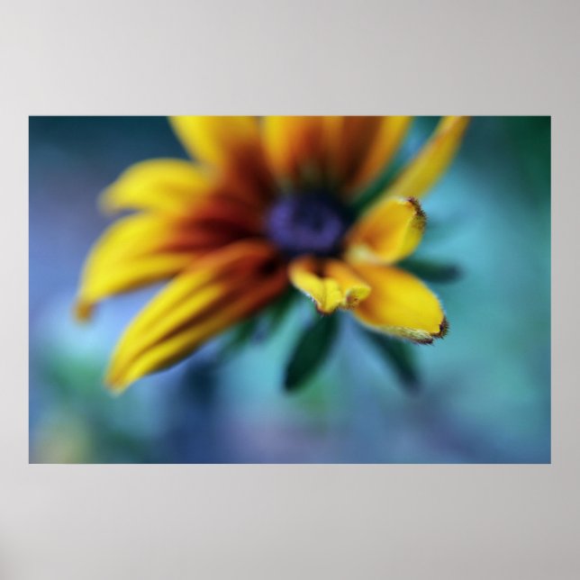 Poster Abstrato de Macro Flor Amarelo Rudbeckia (Frente)