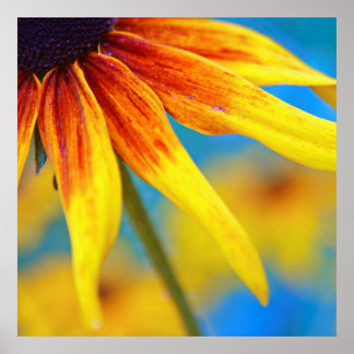 Poster Abstrato de Macro Flor Amarelo Rudbeckia