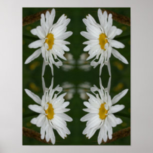 Poster Abstrato de margarida branca