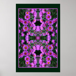 Poster Abstrato de Orton, Flores de Aster de outono Rosa