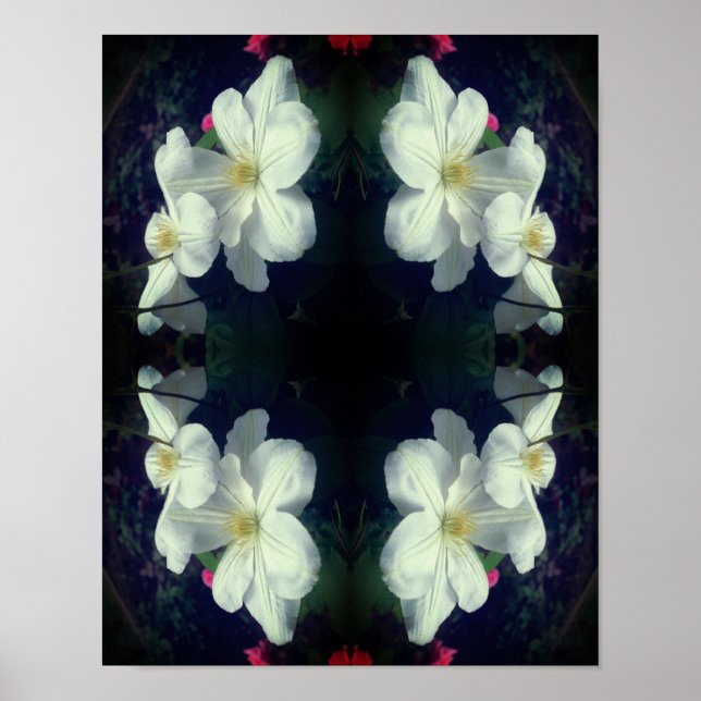 Poster Abstrato de Par de Flor Branco Clematis (Frente)