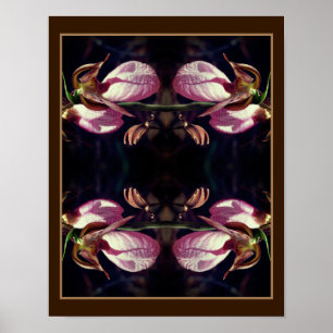 Poster Abstrato de Par de Orquídea Rosa Selvagem