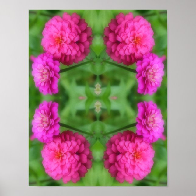 Poster Abstrato de Par do Flor Zinnia Rosa (Frente)