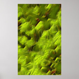 Poster Abstrato de Pele de Lagarto