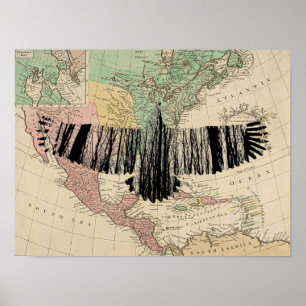 Poster Abstrato Eagle Tree Silhouettes Vintage USA Map