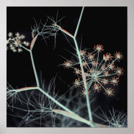 Poster Abstrato Floral Escuro Elegante