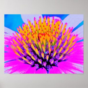 Poster Abstrato Macro Rosa Quente e Amarelo Coneflower