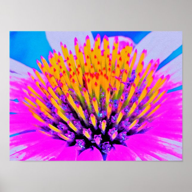 Poster Abstrato Macro Rosa Quente e Amarelo Coneflower (Frente)