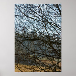 Poster Abstrato Natureza