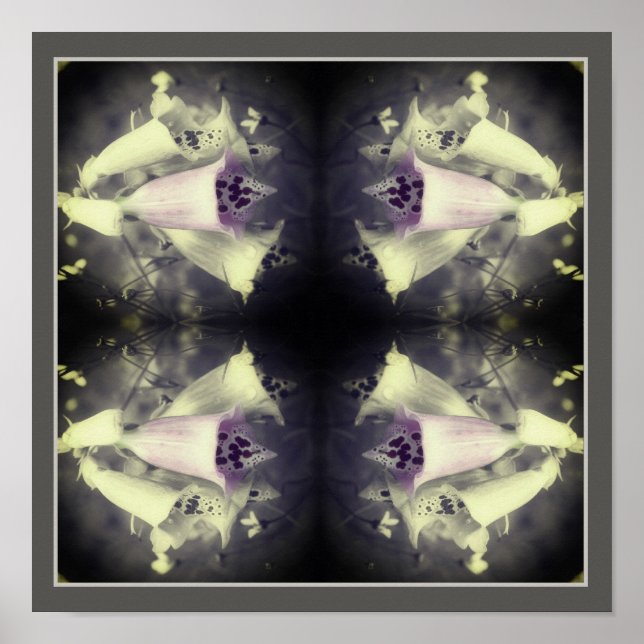 Poster Abstrato Preto E Branco Da Flor De Foxglove Rosa (Frente)
