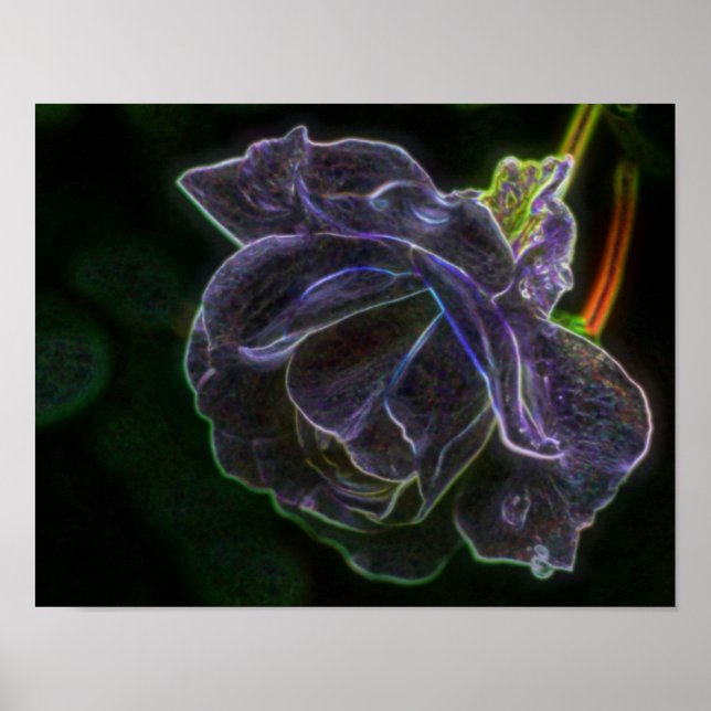 Poster Abstrato Purple Rosa Fantasy Flower (Frente)